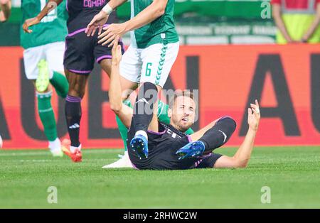 Brême, Allemagne. 18 août 2023. En action dans le match SV WERDER BREMEN - FC BAYERN MUENCHEN le 18 août 2023 à Brême, Allemagne. Saison 2023/2024, 1.Bundesliga, FCB, München, match 1, 1.Spieltag © Peter Schatz / Alamy Live News - LA RÉGLEMENTATION DFL INTERDIT TOUTE UTILISATION DE PHOTOGRAPHIES comme SÉQUENCES D'IMAGES et/ou QUASI-VIDÉO - crédit : Peter Schatz/Alamy Live News Banque D'Images