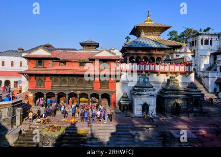 Népal, vallée de Katmandou, temple hindou de Pashupatinath dédié à Shiva Banque D'Images