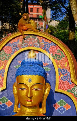 Népal, vallée de Katmandou, stupa bouddhiste Swayambunath, aussi appelé temple des singes car peuplé de nombreux macaques rhésus Banque D'Images