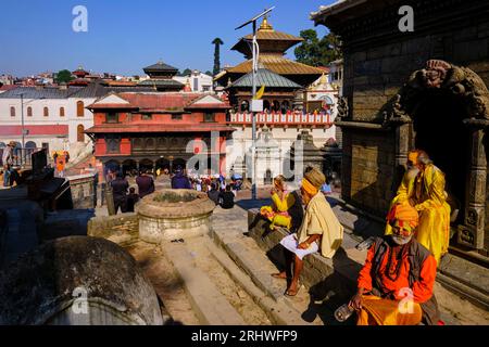 Népal, vallée de Katmandou, temple hindou de Pashupatinath dédié à Shiva, sadhu Banque D'Images