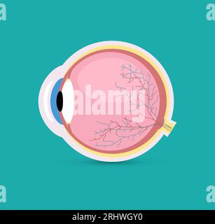 Vue latérale isolée du vecteur boule oculaire rétine. Round Eyeball image anatomique 3D icône humaine Illustration de Vecteur