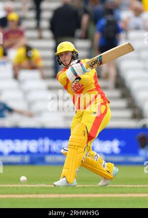 Nottingham, royaume-Uni. 19 août 2023. Photo de gauche à droite Bryony Smith (Trent Rockets) battant au 100 à Trent Bridge (Trent Rockets v Birmingham Phoenix). Crédit : photo : Mark Dunn/Alamy Live News (Sports) Banque D'Images