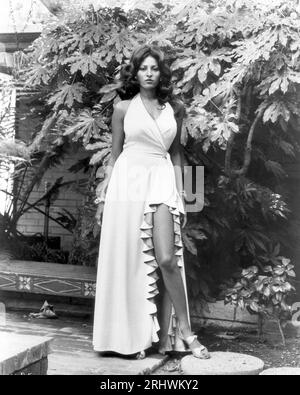 PAM GRIER en MARRON FOXY (1974), réalisé par JACK HILL. Crédit: American International Productions / Album Banque D'Images