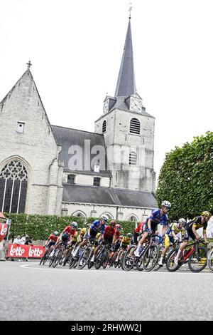 Overijse, Belgique. 19 août 2023. Le Belge senne Leysen d'Alpecin-Deceuninck photographié en action lors de la course cycliste d'une journée 'Druivenkoers', 185, 6 km de et vers Overijse, samedi 19 août 2023. BELGA PHOTO TOM GOYVAERTS crédit : Belga News Agency/Alamy Live News Banque D'Images