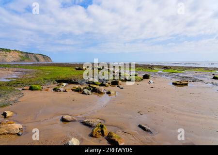 Des rochers et des rochers couverts d'algues jonchaient sur la plage de Robin Hoods Bay à marée basse. Banque D'Images