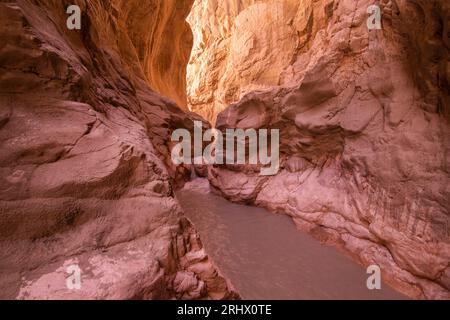 Saklikent Canyon vue intérieure des roches orange violet rose naturellement formées et rivière qui coule dans le canyon lumière du soleil Mugla Turquie Banque D'Images