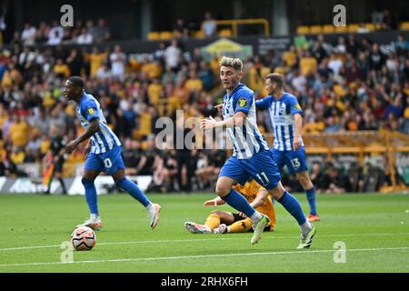 Wolverhampton, Royaume-Uni. 19 août 2023. 19 août 2023 ; Molineux Stadium, Wolverhampton, West Midlands, Angleterre; premier League football, Wolverhampton Wanderers contre Brighton et Hove Albion ; Billy Gilmour de Brighton crédit : action plus Sports Images/Alamy Live News Banque D'Images