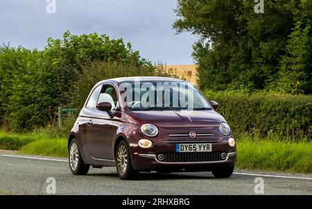 Woburn, Beds, UK - 19 août 2023 : 2015 Fiat 500 voiture voyageant sur une route de campagne anglaise. Banque D'Images