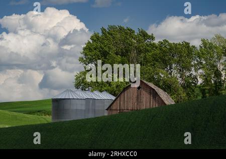 Ancienne grange et bacs à céréales parmi les champs verts vallonnés, sous un ciel rempli de cumulus. Comté de Whitman, Washington, États-Unis. Banque D'Images