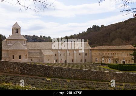 Abbaye de Sénanque, Provence, France Banque D'Images