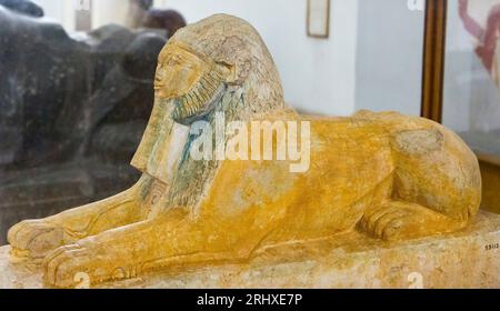 Le Caire, Musée égyptien, sphinx de Hatshepsut, relativement inhabituel comme sa tête a des traits de lion (manie), alors que ce n'est généralement que son corps. Banque D'Images