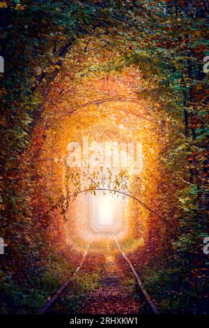 Fantastique tunnel des arbres d'automne avec vieux chemin de fer - tunnel de l'amour. Tunnel naturel d'amour formé par les arbres. Ukraine. Véritable paysage automnal de la nature Banque D'Images