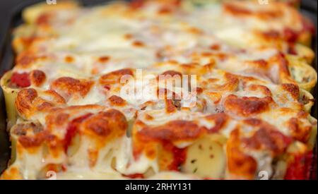 Cannelloni traditionnel farci à la crème de ricotta et aux épinards, gratiné au fromage Banque D'Images