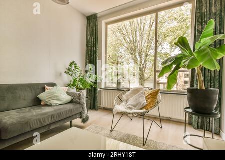 un salon avec un canapé, une chaise et une plante en pot en face de la fenêtre donnant sur la rue Banque D'Images