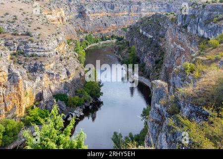 Réserve naturelle de Hoces del Rio Duraton (Parque Natural de las Hoces del Río Duratón) avec falaises verticales calcaires avec des couches, rivière sinueuse. Banque D'Images