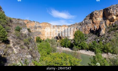 Réserve naturelle de Hoces del Rio Duraton (Parque Natural de las Hoces del Río Duratón) avec falaises verticales calcaires avec des couches, rivière sinueuse. Banque D'Images