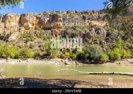 Réserve naturelle Hoces del Rio Duraton (Parque Natural de las Hoces del Río Duratón) avec falaises verticales calcaires avec des couches, rivière sinueuse et luxuriante Banque D'Images