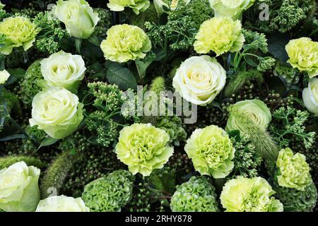 Beau fond de fleurs. Bouquet de roses vertes et œillets. Vue d'en haut, fond de fleurs. Banque D'Images