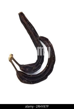 Deux bananes noires séchées sur fond blanc. vue de dessus sur les vieilles bananes noircies rattrapées Banque D'Images
