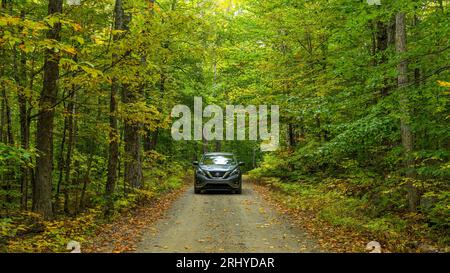 Exploration d'automne - Un SUV moderne explorant sur une route étroite dans l'arrière-pays dans une forêt dense par un matin ensoleillé d'automne. Mt. Blue State Park, Weld, Maine. Banque D'Images