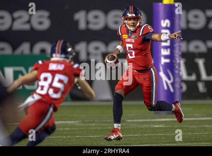 Ottawa, Canada. 19 août 2023. Caleb Evans (5) des Alouettes de Montréal joue en saison régulière dans la Ligue canadienne de football (LCF) entre les Alouettes de Montréal aux Redblacks d'Ottawa. Les Alouettes de Montréal ont remporté le match 25-24. 2023 Copyright Sean Burges / Mundo Sport Images / Alamy Live News Banque D'Images