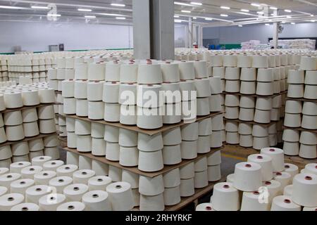 LUANNAN - MARS 13 : déchets de coton entassés dans l'atelier de production d'une entreprise de filature, 13 mars 2013, comté de Luannan, province de Hebei, Banque D'Images