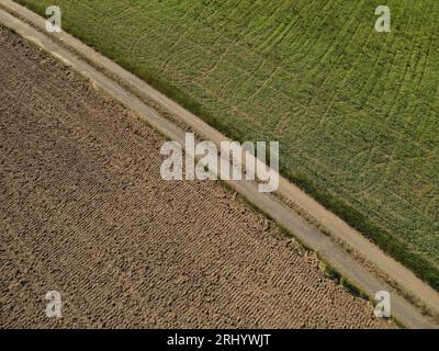 Chemin de terre dans le paysage entre le champ de culture verte et le champ de terre brune Banque D'Images