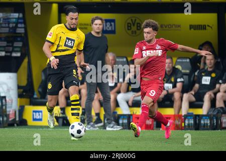 Ramy BENSEBAINI (DO) contre Luca WALDSCHMIDT (K), action, duels, soccer 1e Bundesliga, 1e journée, Borussia Dortmund (DO) - 1e FC Cologne (K) 1 : 0 le 19 août 2023 à Dortmund/Allemagne. La réglementation #DFL interdit toute utilisation de photographies comme séquences d'images et/ou quasi-vidéo # Banque D'Images