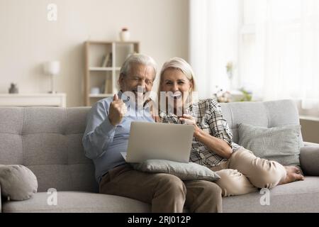 Joyeux couple de seniors excité célébrant la victoire, le succès financier Banque D'Images