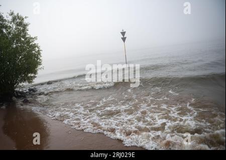 Hambourg, Allemagne. 20 août 2023. Une mouette se trouve sur un panneau dans un brouillard dense au-dessus de la rivière Elbe. Crédit : Jonas Walzberg/dpa/Alamy Live News Banque D'Images