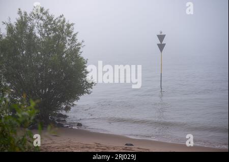 Hambourg, Allemagne. 20 août 2023. Une mouette se trouve sur un panneau dans un brouillard dense au-dessus de la rivière Elbe. Crédit : Jonas Walzberg/dpa/Alamy Live News Banque D'Images