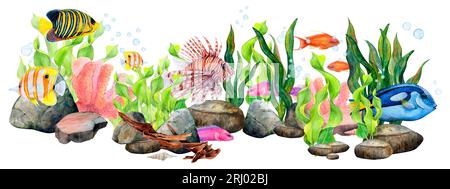 Bordure de dessin d'aquarelle de l'ensemble d'algues de ruban, pierres de fond, corail, accroc, poisson chirurgien, poisson ange royal, poisson frideman, poisson lionfish, antias dorés Banque D'Images