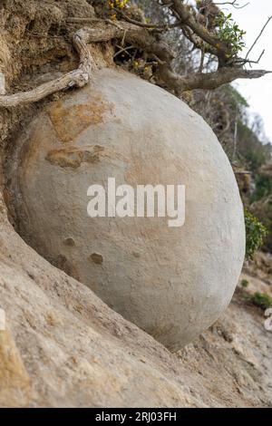 Un rocher trouvé aux moeraki Boulders. Ce plus audacieux n'est pas sur la plage mais enterré dans la colline Banque D'Images