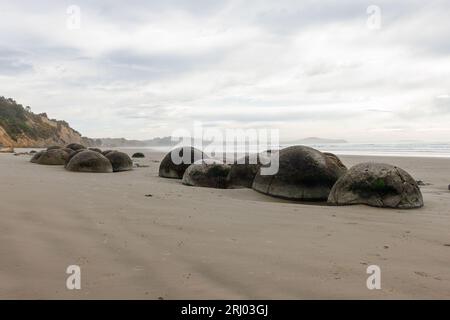 Un plan des rochers moeraki tous assis dans une rangée. Ce sont des roches circulaires naturellement faites qui se trouvent juste à l'extérieur de Dunedin New Zealanad Banque D'Images