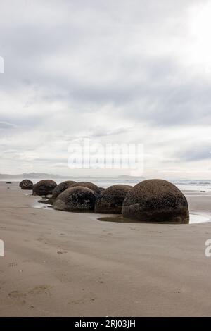 Un plan des rochers moeraki tous assis dans une rangée. Ce sont des roches circulaires naturellement faites juste à l'extérieur de Dunedin Nouvelle-Zélande Banque D'Images