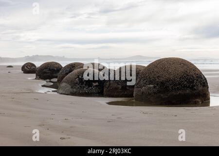 Un plan des rochers moeraki tous assis dans une rangée. Ce sont des roches circulaires naturellement faites juste à l'extérieur de Dunedin Nouvelle-Zélande Banque D'Images