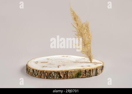 Podium en bois avec Bark. Dalle en bois véritable. Forme naturelle ronde vide. Piédestal pour montrer le produit, la cosmétique écologique, les bijoux. Style minimaliste tendance M Banque D'Images