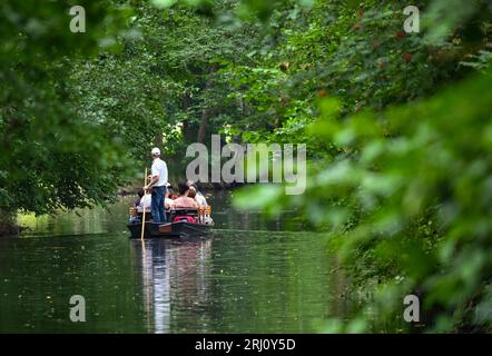 Burg, Allemagne. 20 août 2023. Un passeur voyage avec une barge transportant des touristes sur une rivière (voie navigable) dans le Spreewald. Crédit : Patrick Pleul/dpa/Alamy Live News Banque D'Images