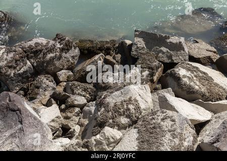 Roches côtières à la côte de la rivière Katun. République de l'Altaï, Russie Banque D'Images