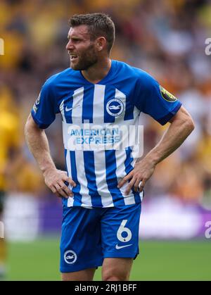 James Milner de Brighton et Hove Albion lors du match de Premier League au Molineux, Wolverhampton. Date de la photo : Samedi 19 août 2023. Banque D'Images