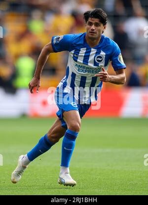 Mahmoud Dahoud de Brighton et Hove Albion lors du match de Premier League au Molineux, Wolverhampton. Date de la photo : Samedi 19 août 2023. Banque D'Images