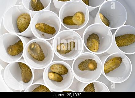 Burg, Allemagne. 20 août 2023. Cornichons acides pour les visiteurs coincés dans des gobelets en plastique pendant le concours dans la ville Spreewald de Burg. Dans l'après-midi, le grand défilé du 29e Heimat- und Trachtenfest dans le Spreewald a eu lieu. Crédit : Patrick Pleul/dpa/Alamy Live News Banque D'Images