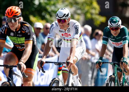 ETTEN-LEUR - champion du monde Mathieu van der Poel lors du Pro Cycling Tour Etten-leur. Van der Poel montre pour la première fois son maillot arc-en-ciel qu'il a remporté lors des Championnats du monde de cyclisme à Glasgow. ANP BAS CZERWINSKI Banque D'Images