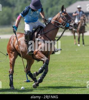 Gstaad, Berne, Suisse. 20 août 2023. Gstaad Suisse, 08/20/2023, Martin AGUERRE Jr. Du Team hublot (Argentine) #3 lors de hublot Polo Gold Cup Gstaad 2023. Hublot Polo Gold Cup Gstaad 2023 a eu lieu à l'aéroport de Gstaad de la célèbre station de ski, qui accueille chaque année le tournoi de tennis ATP (crédit image : © Eric Dubost/ZUMA Press Wire) À USAGE ÉDITORIAL UNIQUEMENT! Non destiné à UN USAGE commercial ! Crédit : ZUMA Press, Inc./Alamy Live News Banque D'Images