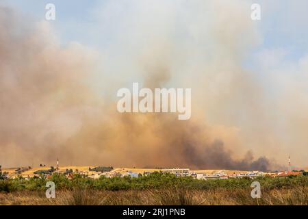 Incendie de forêt massif à Alexandroupolis Evros Grèce, près de l'aéroport et Apalos, situation d'urgence, lutte contre les incendies aériens. Banque D'Images