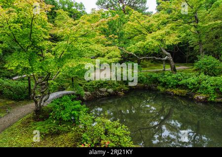 Vue panoramique dans le merveilleux jardin Isuien à Nara. Japon. Banque D'Images