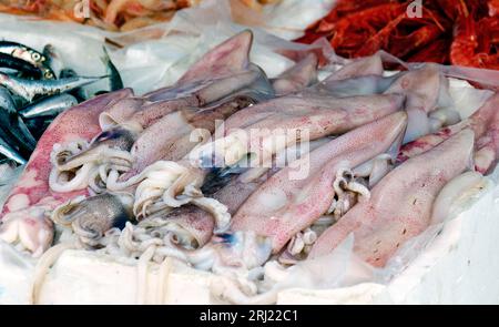 Cas avec calamars roses frais pêchés au marché aux poissons de Gallipolli en Italie Banque D'Images