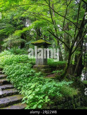 Vue panoramique dans le sanctuaire Tosho-gu à Nikko. Préfecture de Tochigi, Japon. Banque D'Images