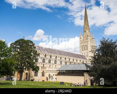 Cathédrale de Norwich (église cathédrale de la Sainte Trinité indivise) photographiée entre deux grands arbres dans le quartier historique de Norwich en août 2 Banque D'Images