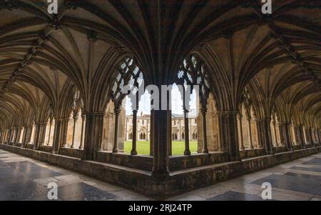 Le magnifique cloître de la cathédrale de Norwich entoure un quadrilatère photographié en août 2023. Banque D'Images